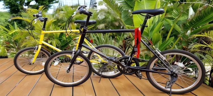 BLANC MIYAKOJIMA(BLANC MIYAKOJIMA)图片