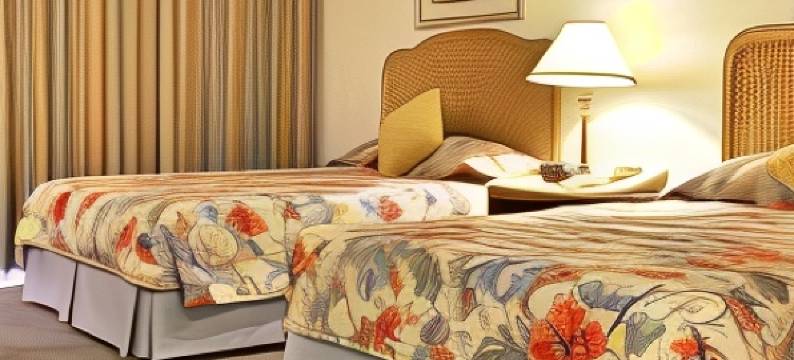 大巴哈马岛漂流套房度假村(Castaways Resort and Suites)图片