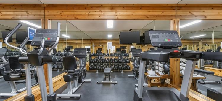 科尔牧场钻石山林小屋(Kohl's Ranch Lodge)图片