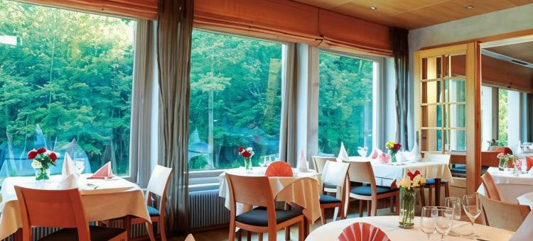 费斯贺特原创之家酒店(La Fischhutte, the Originals Relais)图片