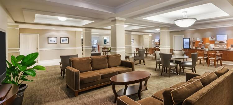 智选假日套房酒店新伊比利亚 - 艾利岛(Holiday Inn Express & Suites New Iberia-Avery Island)图片