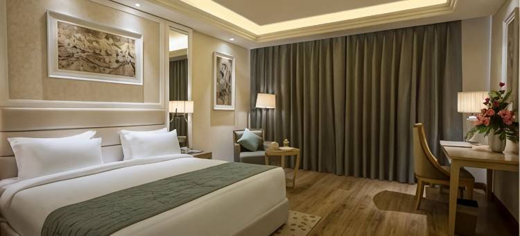 赖布尔辛哈尼亚萨罗瓦门廊酒店(Singhania Sarovar Portico)图片