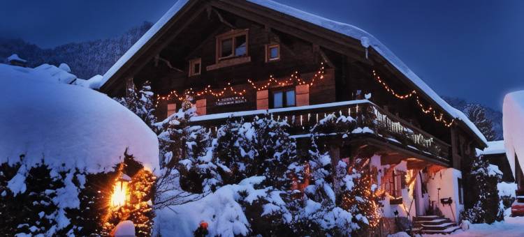酒店 Garni Landhaus Traunbachhäusl(Hotel Garni Landhaus Traunbachhäusl)图片
