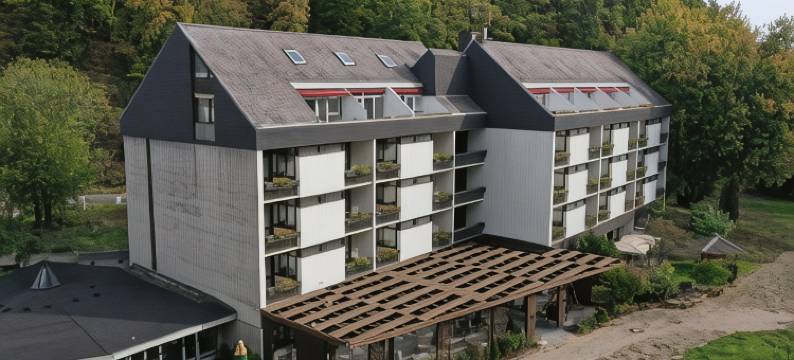 刘易斯公园酒店(Hotel Luisenpark)图片