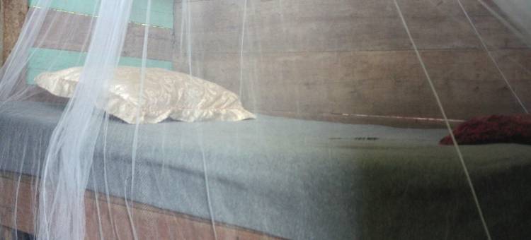 布里布里苏莱(Bribri Ù sule)图片