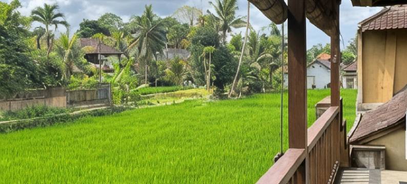 乌布德非凡别墅(Villa Unique)图片