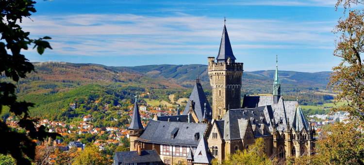 维格黑尔茨环形酒店(Ringhotel Weißer Hirsch)图片