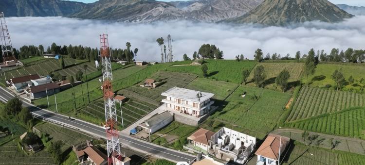 婆罗摩菊花客栈(Bromo Seruni Guesthouse)图片