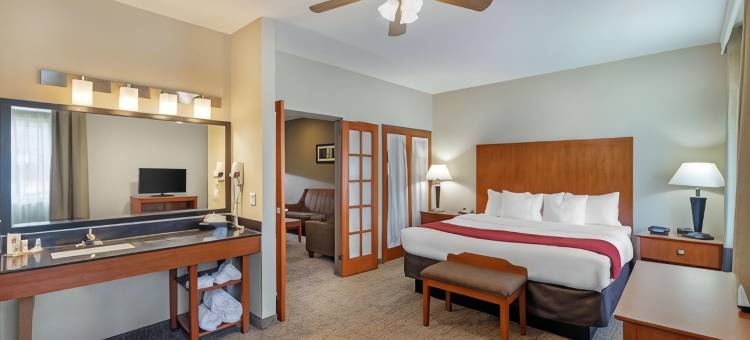 舒适套房酒店-达拉斯北(Comfort Suites North Dallas)图片