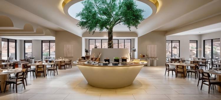 莎登度假村(Shaden Resort)图片