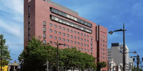 富山蔓藤酒店
