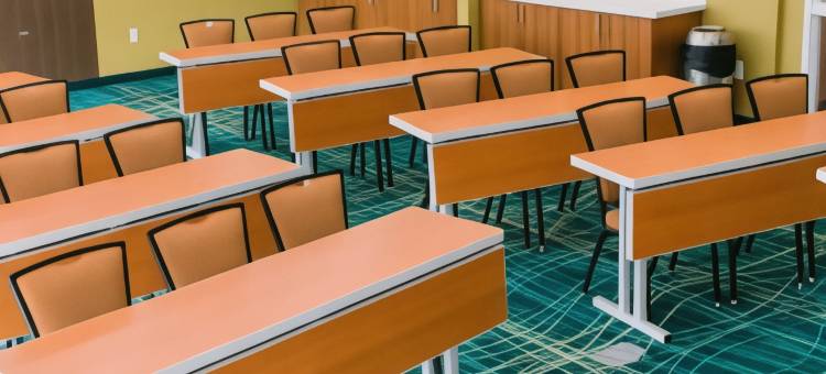 萨姆特万豪SpringHill酒店(SpringHill Suites Sumter)图片