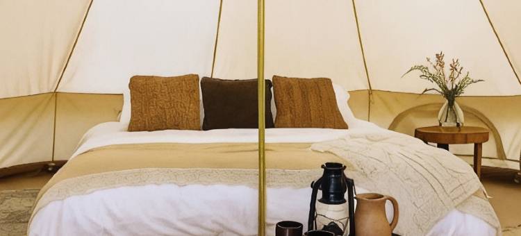 兰厄兰露营地(Langeland Camping)图片