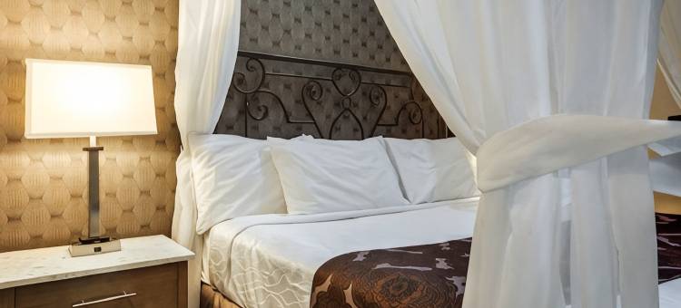 蒙地卡罗布兰普顿旅馆(Monte Carlo Inn Brampton)图片