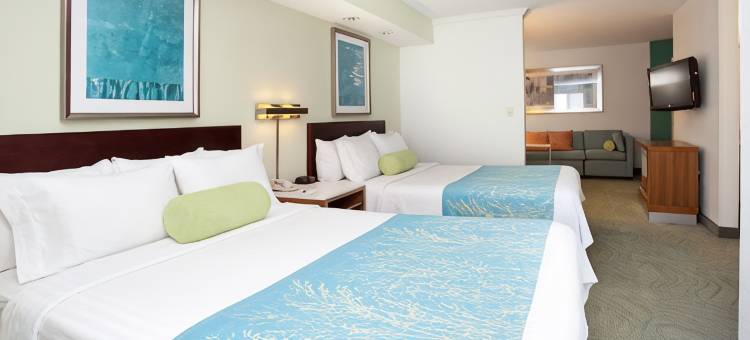 波特兰机场万豪SpringHill酒店(SpringHill Suites Portland Airport)图片