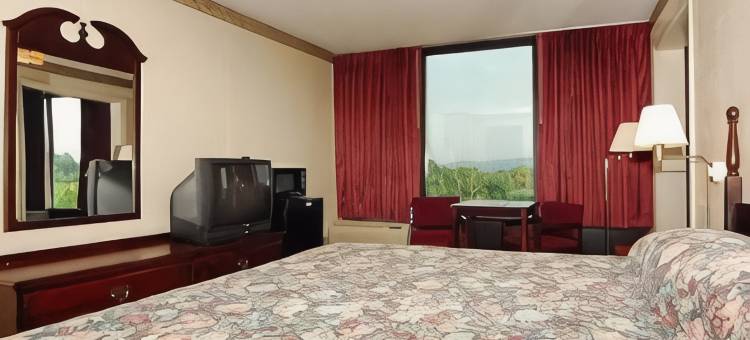 舒适酒店及套房-怀奥米辛雷丁(Comfort Inn & Suites Wyomissing-Reading)图片