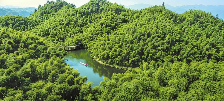沐川海情酒店图片