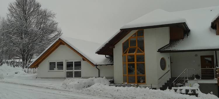 DZT-黑森林加尼酒店(Dzt-Schwarzwaldhotel Garni)图片
