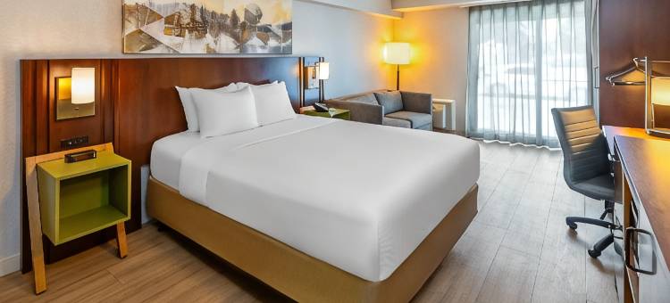 舒适酒店(Comfort Inn)图片