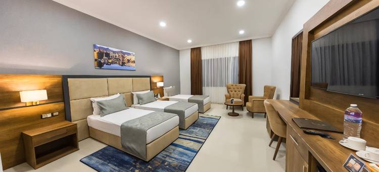 麦克宫水疗酒店及会议中心(MC Palace Hotel)图片