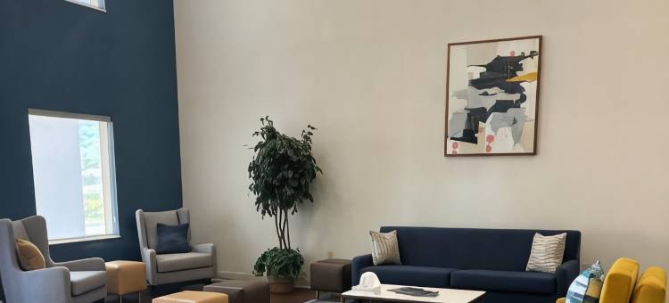 里奇蒙舒适套房酒店(Comfort Suites)图片