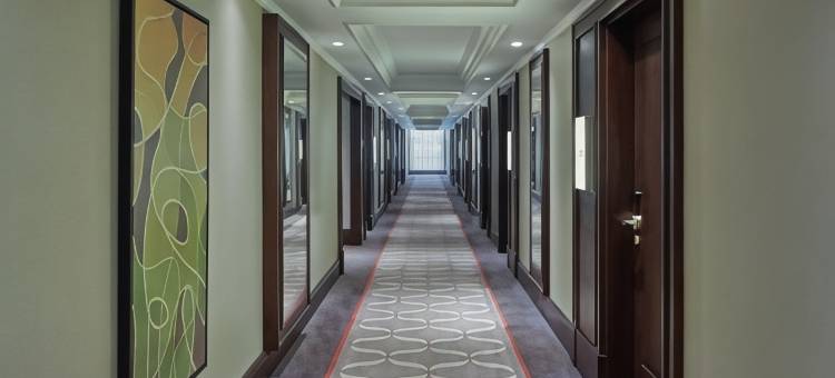 伊斯坦布尔巴森快速路精英世界大酒店(Elite World Grand Istanbul Basın Ekspres)图片