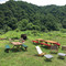 わくわく自然体験の宿ゲストハウス山楽