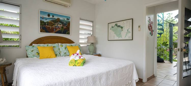 格雷斯湾海滩7英亩度假村：主楼 海景+泳池+海滨+葱郁花园(Grace Bay Beach 7Acre Resort: MainHouse Ocean Views+Pool+Oceanfront+Lush Gardens)图片