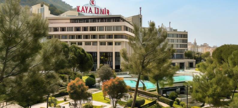 伊兹密尔卡亚温泉及会议中心酒店(Kaya Izmir Thermal & Convention)图片