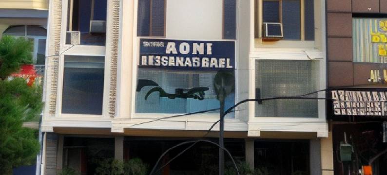 阿比国际酒店(Hotel Abhi International)图片