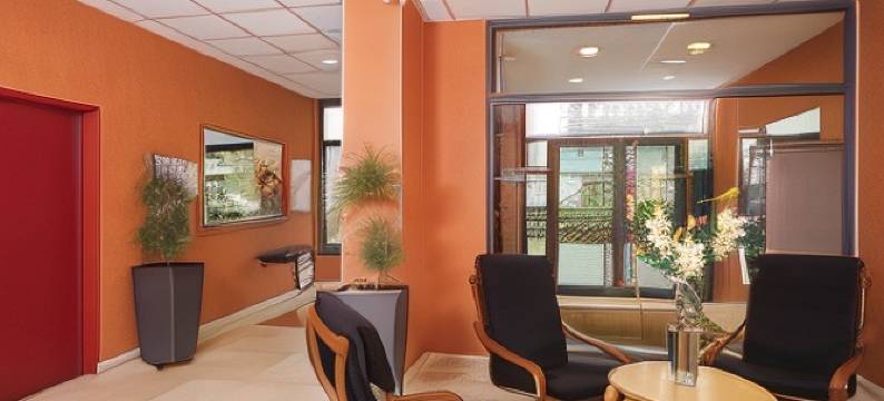 塞祖尔阿菲尔里昂公园拉娜酒店(Séjours & Affaires Lyon Park Lane)图片