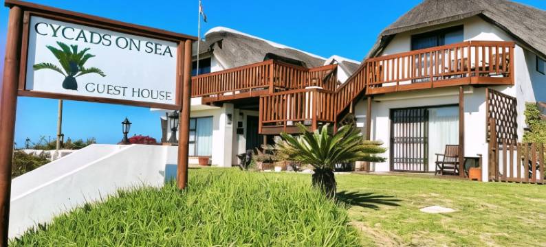 海上铁树旅馆(Cycads on Sea Guest House)图片