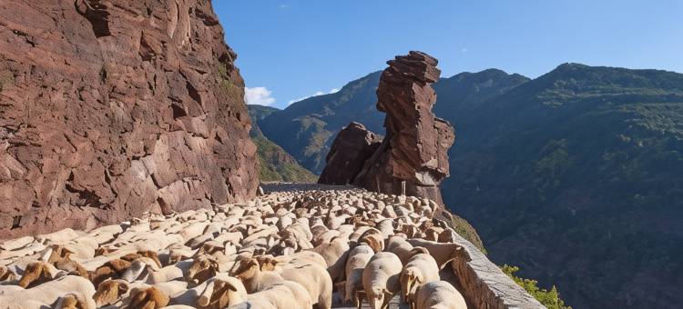 阿尔卑斯罗莱酒店(Relais des Alpes)图片