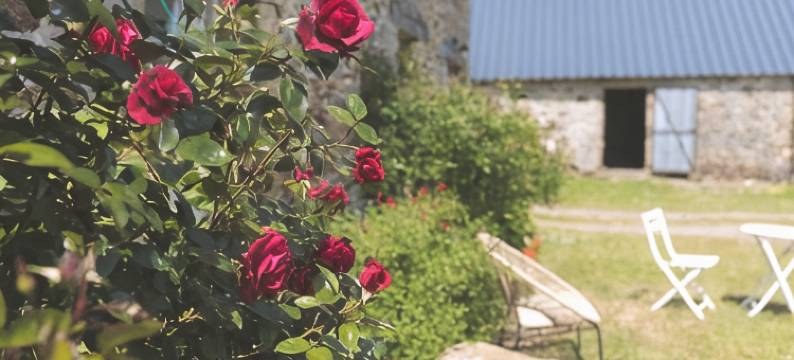 GERBOLD的停留(Escale de Gerbold)图片