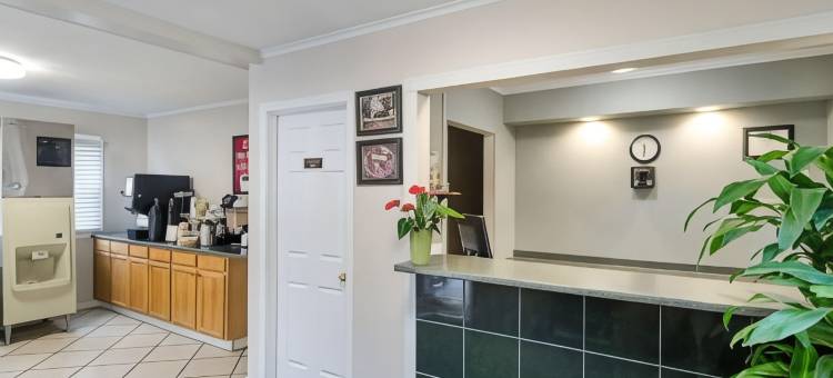 斯特布里奇20号公路伊克诺旅馆(Econo Lodge Sturbridge Route 20)图片