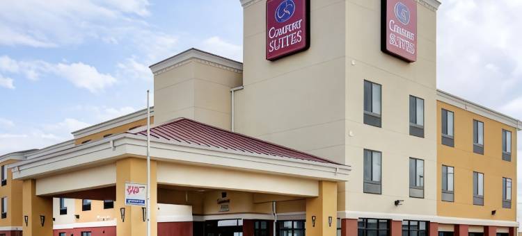 斯托克顿堡舒适套房酒店(Comfort Suites)图片