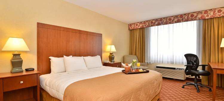 克拉丽奥机场酒店(Clarion Hotel Airport)图片