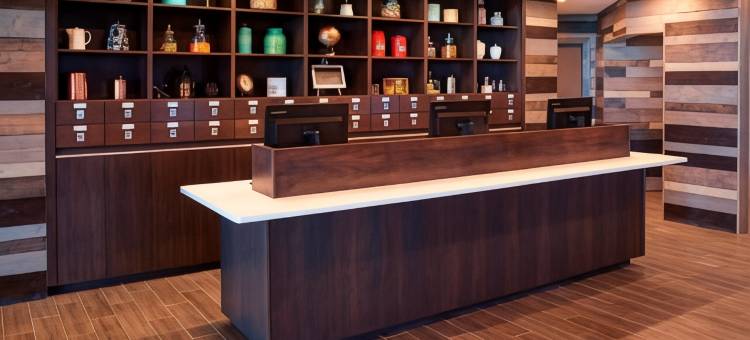 底特律诺维福朋喜来登酒店(Four Points by Sheraton Detroit Novi)图片