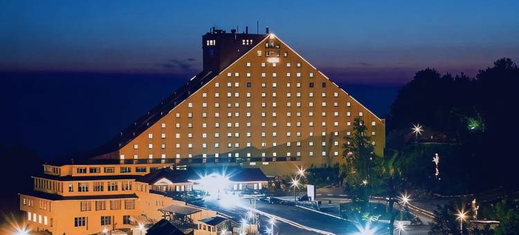 绿色公园卡尔特普度假村(The Green Park Kartepe)图片