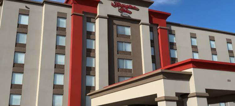 希尔顿欢朋酒店-伦敦(Hampton Inn by Hilton London)图片