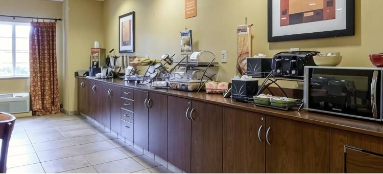 格林维尔-大学医学中心麦客达套房酒店(Microtel Inn & Suites by Wyndham Greenville/University Med)图片