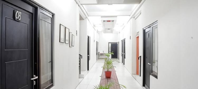 Dparagon 德维科拉(Dparagon Dwikora)图片