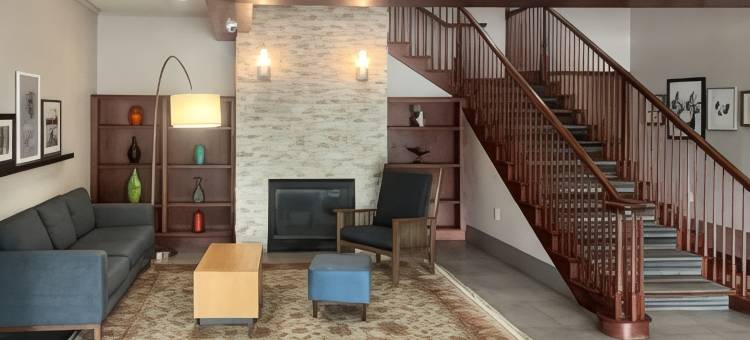 舒适酒店及套房圣保罗东北部(Comfort Inn & Suites St. Paul Northeast)图片