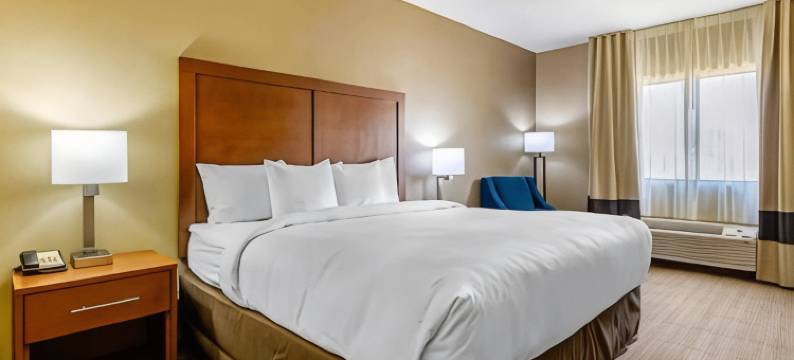 舒适套房酒店(Comfort Inn & Suites)图片