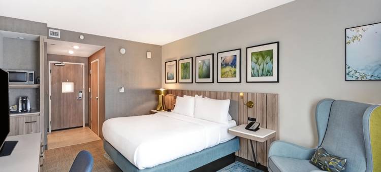 休斯顿霍比机场希尔顿花园酒店(Hilton Garden Inn Houston Hobby Airport)图片