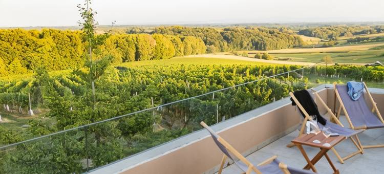 酒庄居住科尔曼(Boutique Wine and Wellness Retreat - Wine Residence Kerman)图片
