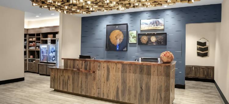 博兹曼SpringHill Suites酒店(SpringHill Suites Bozeman)图片