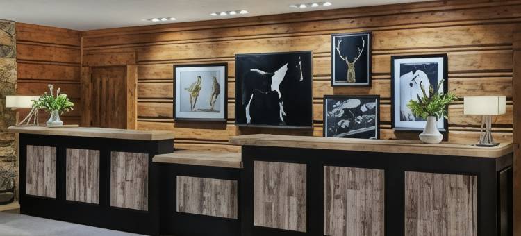 巴切洛尔峡谷丽思卡尔顿酒店(The Ritz-Carlton, Bachelor Gulch)图片
