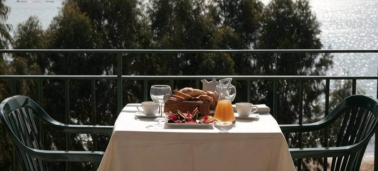 玫瑰海滩酒店(Hotel Roses Platja)图片