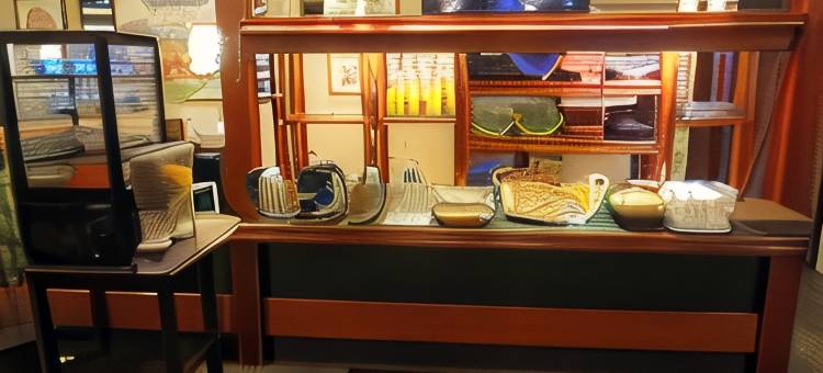 埃皮纳勒快克宫殿酒店(Quick Palace Epinal)图片